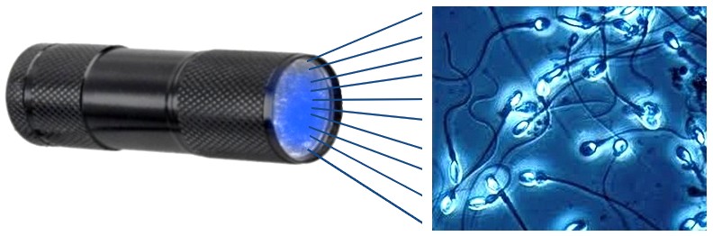 test wierności, test zdrady